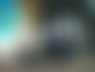 Kårsektionsval 2017: Dessa ska företräda Grythyttans sektion