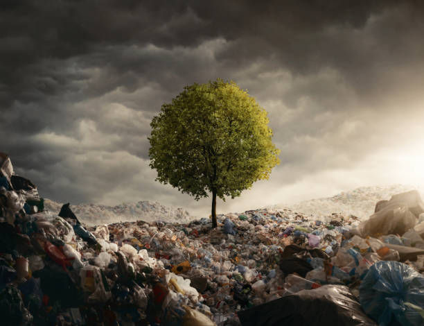 A lone green tree stands on a mound of trash under a cloudy sky. Sunlight breaks through, highlighting the contrast between nature and pollution.