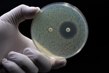 A hand gloved in white latex holds a petri dish with obvious bacterial growth over a solid black background. Two small pills lie on the petri dish with one having a ring around it where no bacteria is growing, implying that this pill either kills bacteria or that bacteria avoids it. 