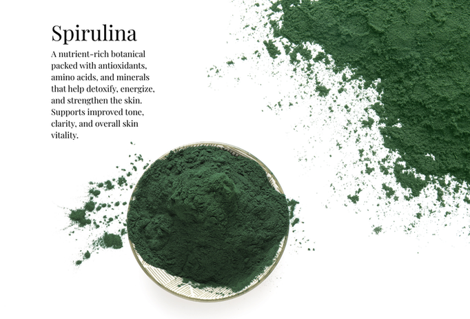 A decorative picture of the ingredient "Spirulina" with a descriptive paragraph that reads: "A nutrient-rich botanical packed with antioxidants, amino acids, and minerals that help detoxify, energize, and strengthen the skin. Supports improved tone, clarity, and overall skin vitality."