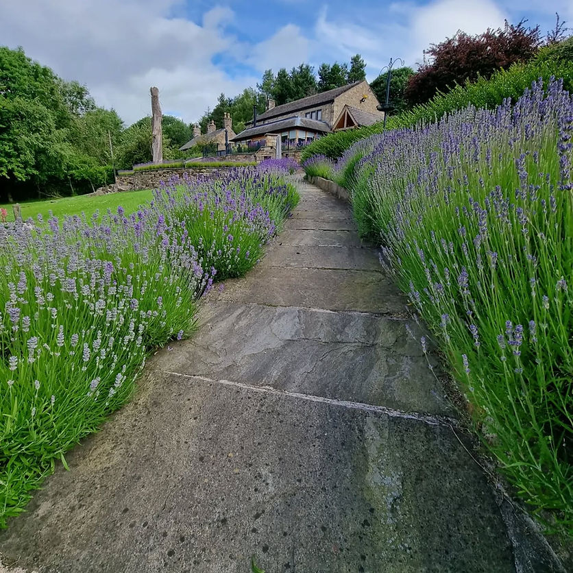 Landscape Gardener Stockport