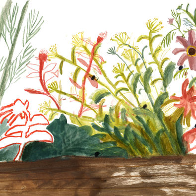 Gouache and mixed media plant and garden illustrations with small little snails by South African Brighton based in Children's Illustrator Ulrike Mieke