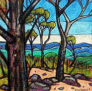 gum trees blue ranges.JPG