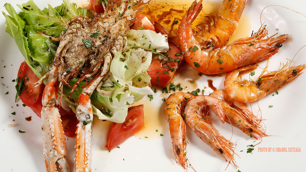 PH 05 ZORTZIKO FOR ZIABOGA BISTROT