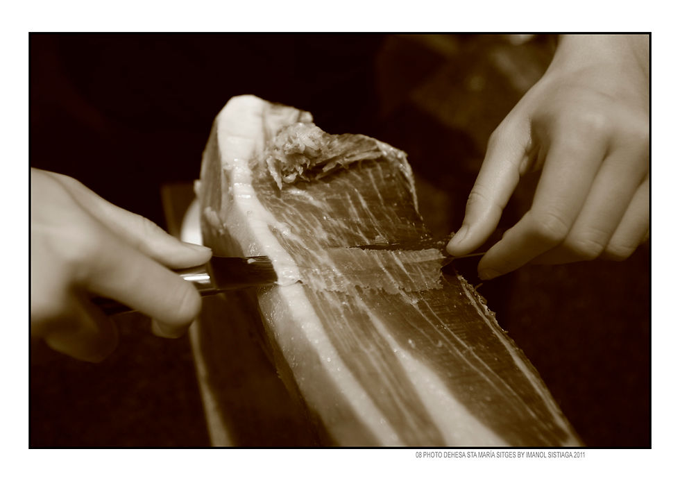 08 DEHESA low SITGES BY IMANOL SISTIAGA.jpg
