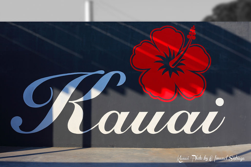 PARED LOGO KAUAI · GAVÀ MAR