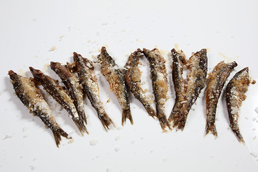 ANCHOAS EN SALAZÓN