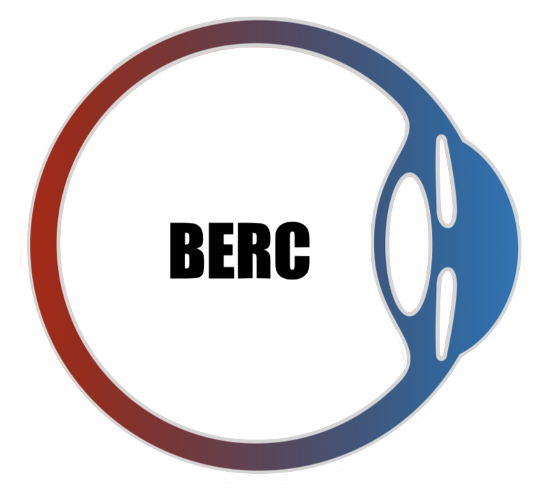 Bansal Eye and Retina Centre Logo