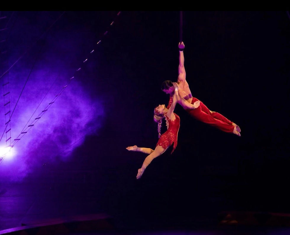 Thumbnail: Aerialist custom costume design