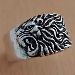 Thumbnail: Silver Ring JR2