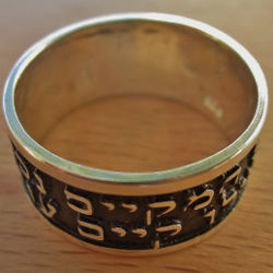 Thumbnail: DRS9 Schindler's Ring