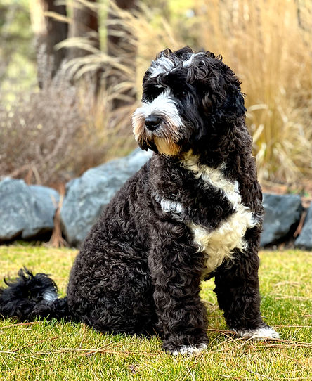 Juniper Ridge's Deep River Canyon