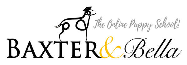 PARTNERS B&B Logo BLACK.png