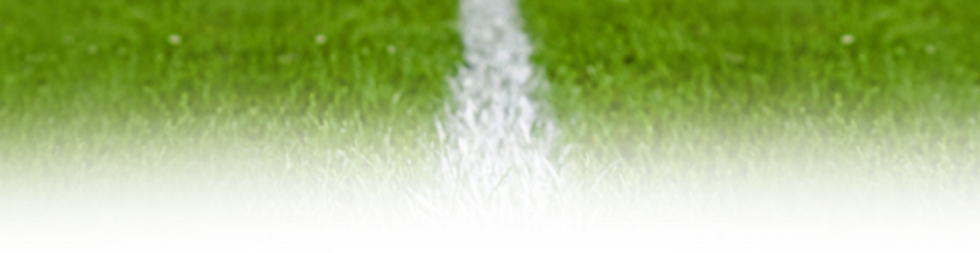 pitch.png