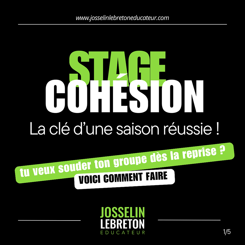 Stage cohésion