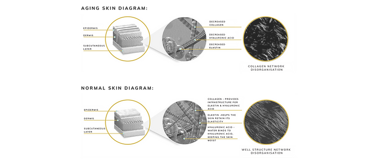 mode aesthetics, mode medical clinic, ellanse Singapore, ellanse treatment, ellanse price, ellanse treatment Singapore, ellanse price Singapore, how does ellanse work, ellanse how it works, ellanse filler, ellanse filler price, ellanse filler Singapore, best aesthetic clinic for ellanse, best medical clinic for ellanse, best doctor for ellanse, top 10 aesthetic clinic for ellanse, top 10 medical clinic for ellanse, top 10 doctors ellanse, ellanse filler for nose, ellanse treatment for nose, ellanse filler for cheeks, ellanse treatment for cheeks, ellanse for skin rejuvenation, ellanse side effects, ellanse downtime, ellanse treatment results, ellanse clinic near me, ellanse Singapore orchard
