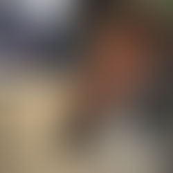 Michael Ranieri receives Fred & Helen Knight Award