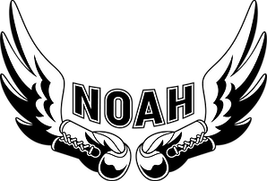 NOAH_Logo_transparent.png