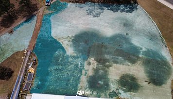 large scale hydroseeded work