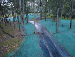 hydroseeded roadside
