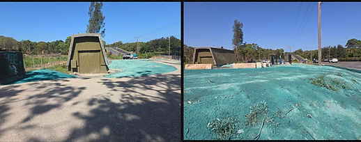 before and after hydroseeding