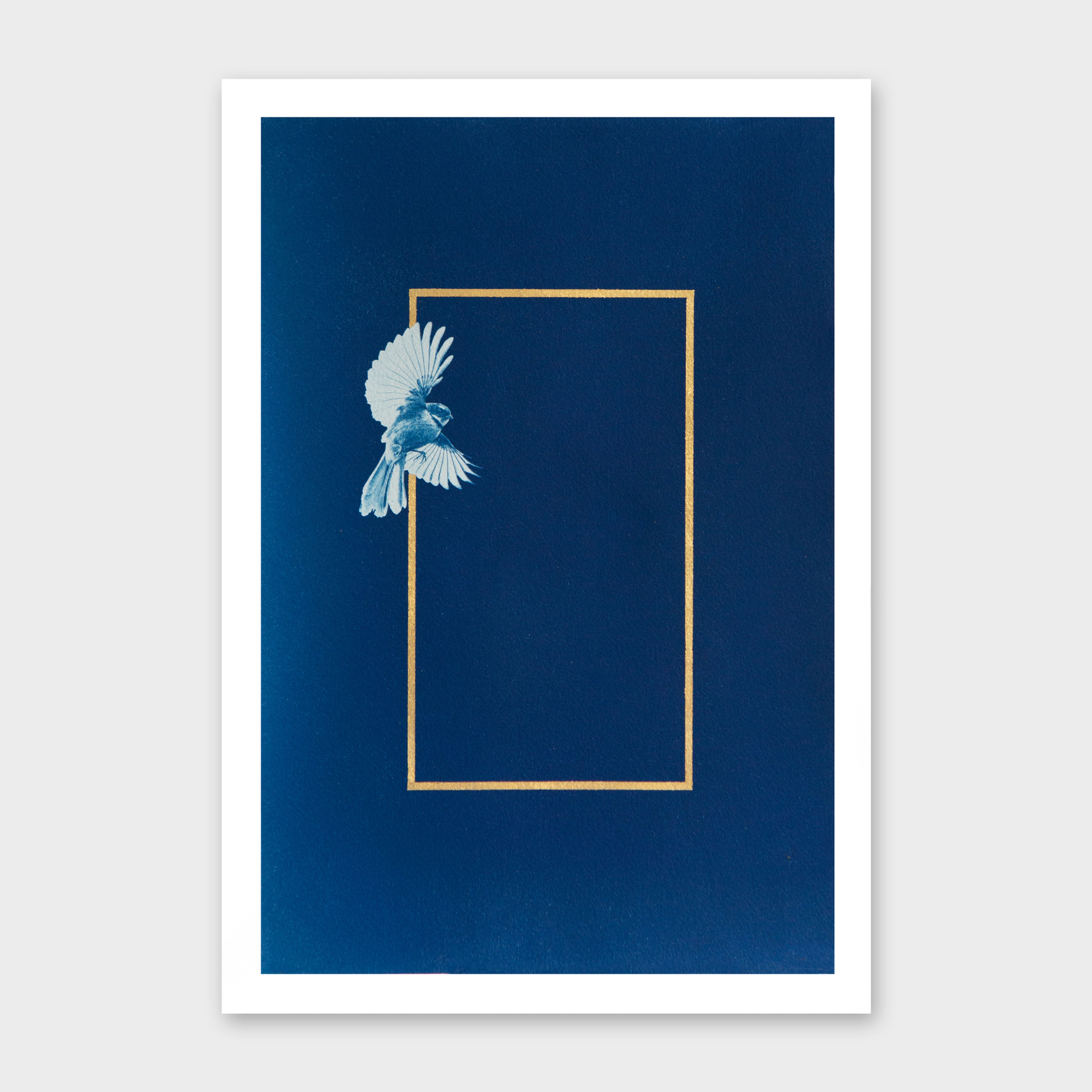 Winged Messengers 02