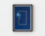 “Winged Messengers 04” framed cyanotype print of Kea with gold leaf by Sophia Jenny