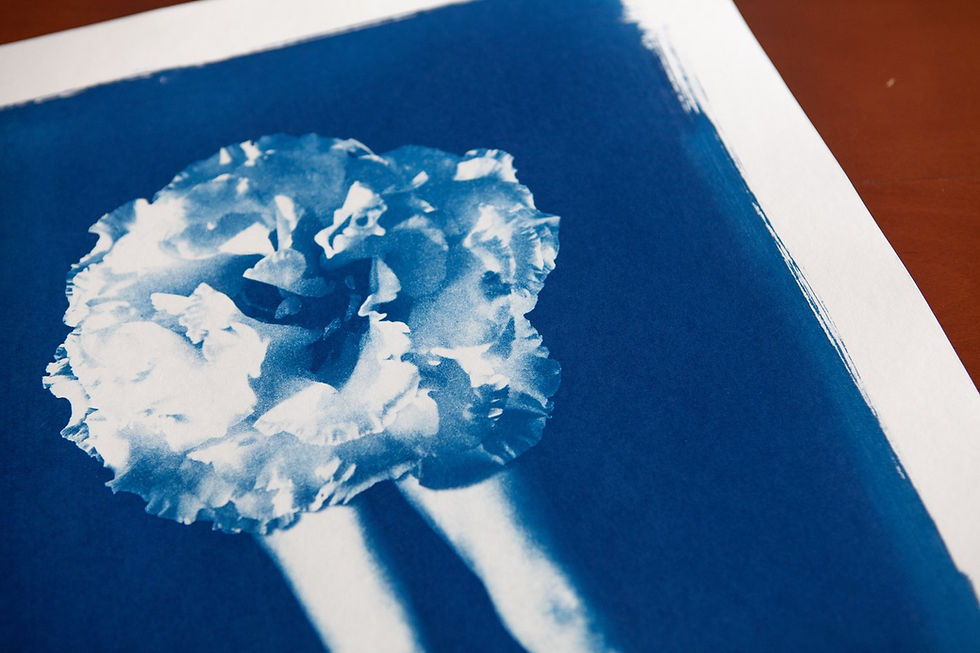 Thumbnail: Detail of “Phantasmagoria 02” A2 cyanotype print showing blue tonal variation