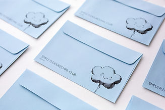 20260501-Simple Pleasues Web- Landscape Envelopes 3.jpg
