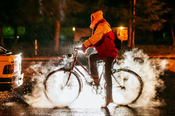 UoM FAPESP Mobility Resilience