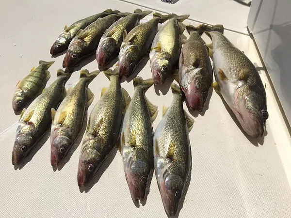 Fishing Reports Website 4