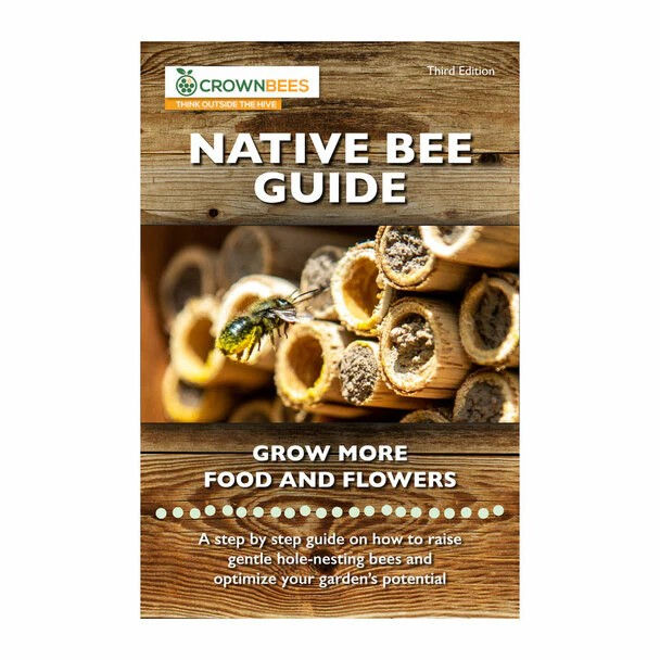 Native Bee Guide