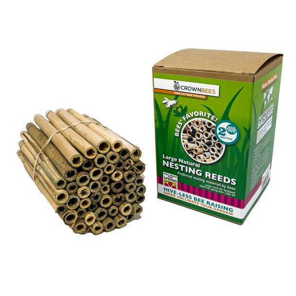 Spring Natural Reeds for Mason Bees