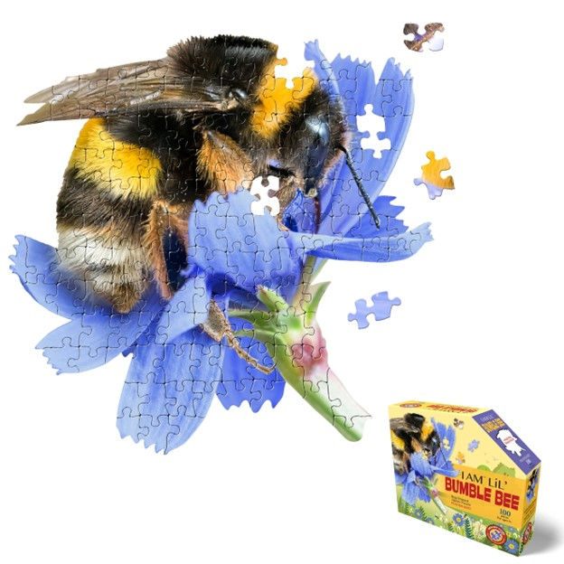 Thumbnail: I Am Lil' Bumble Bee