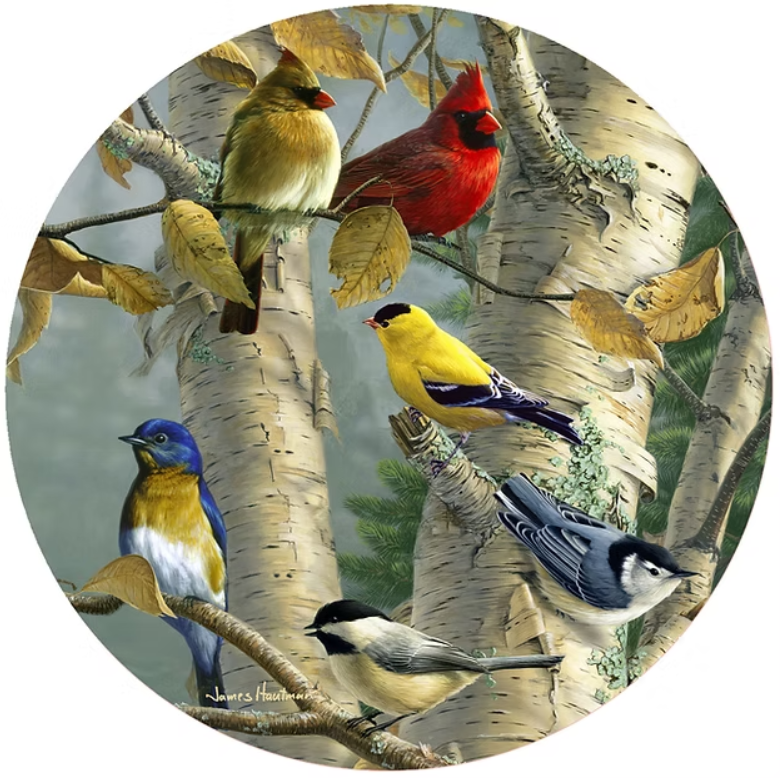 Jar Opener, Songbird