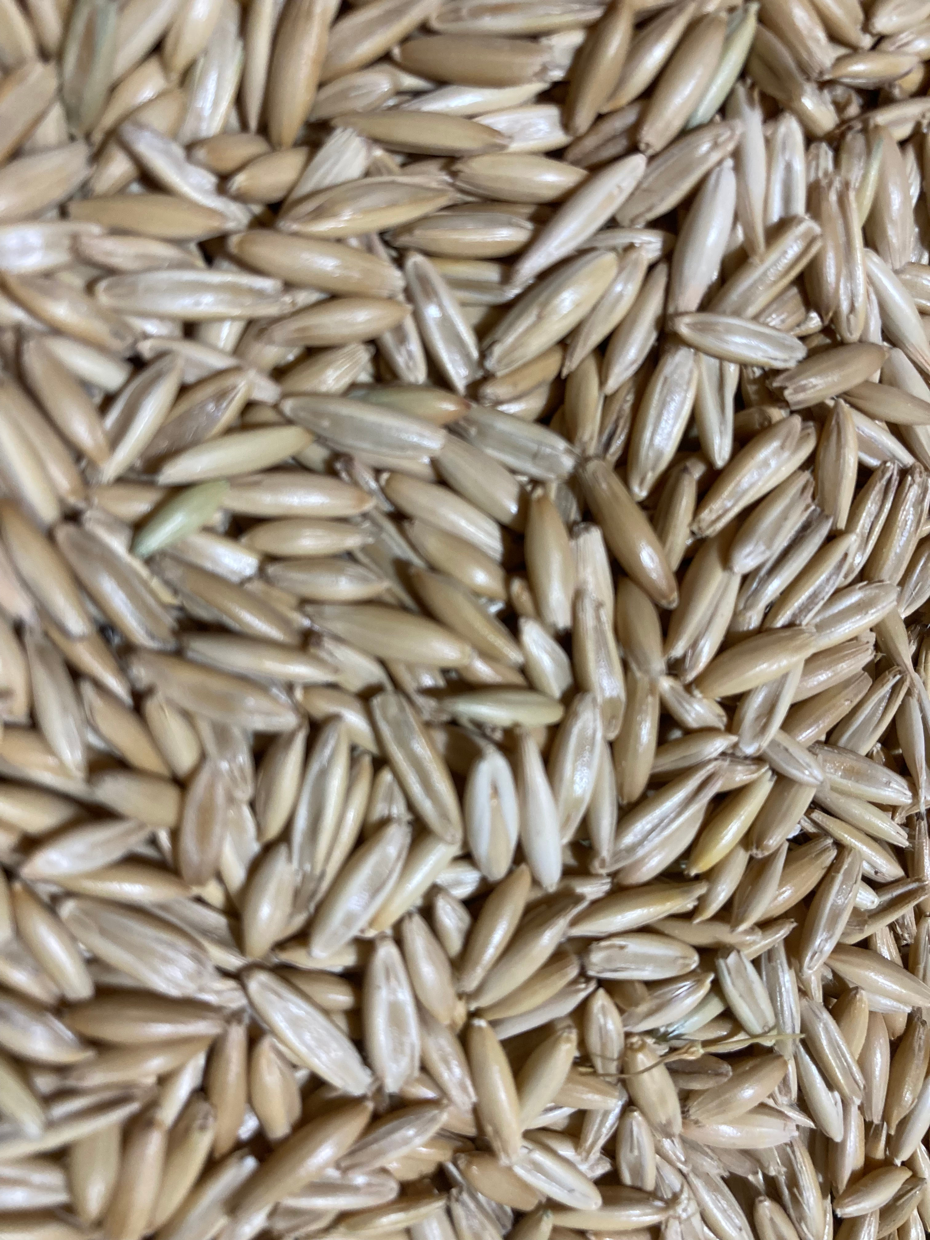 Oats