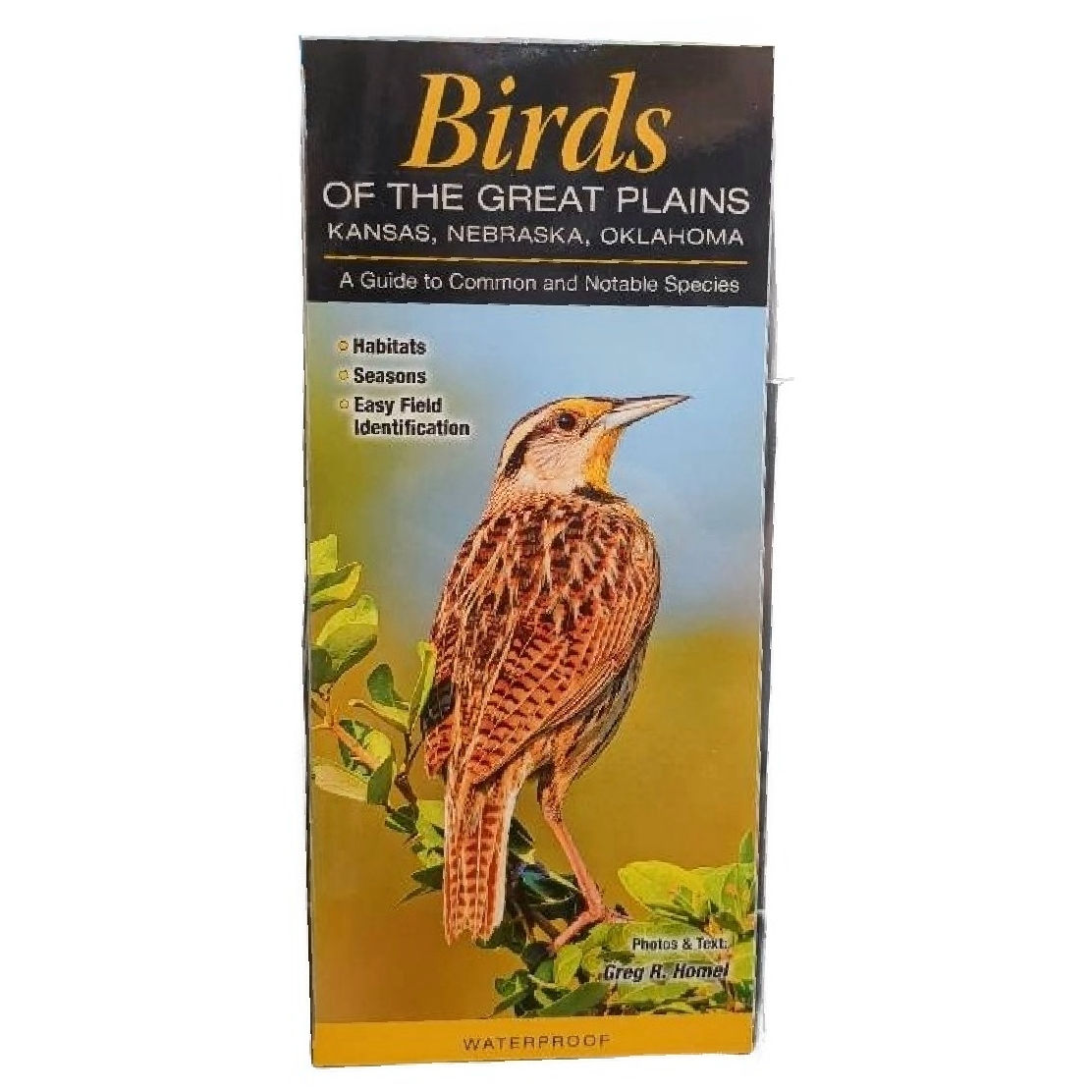 Birds of the Great Plains