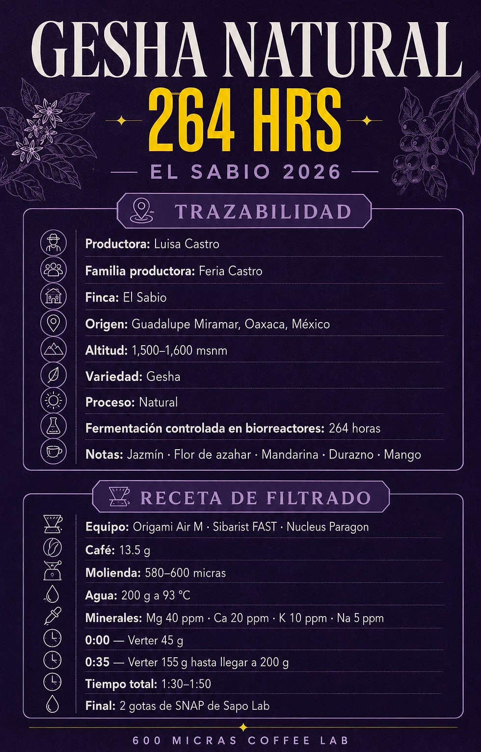 Miniatura: GESHA NATURAL 264HRS, OAXACA,