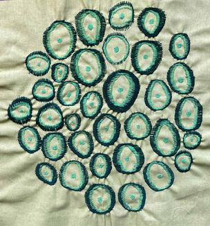 irish kiwis 