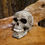 Thumbnail: celtic skull human fantasy art statue figurine creepy halloween beeld schedel