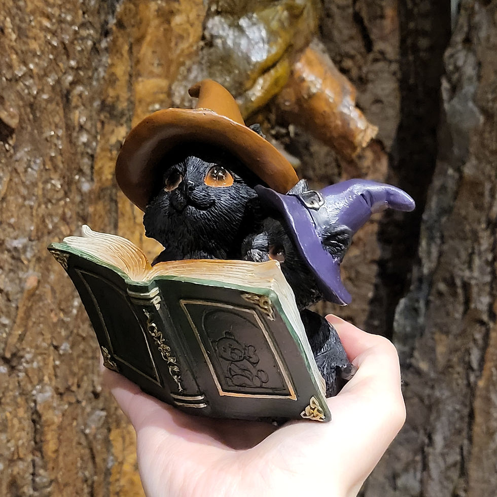 Thumbnail: cats tale witch witchy cat book reading cute fantasy statue figurine beeldje