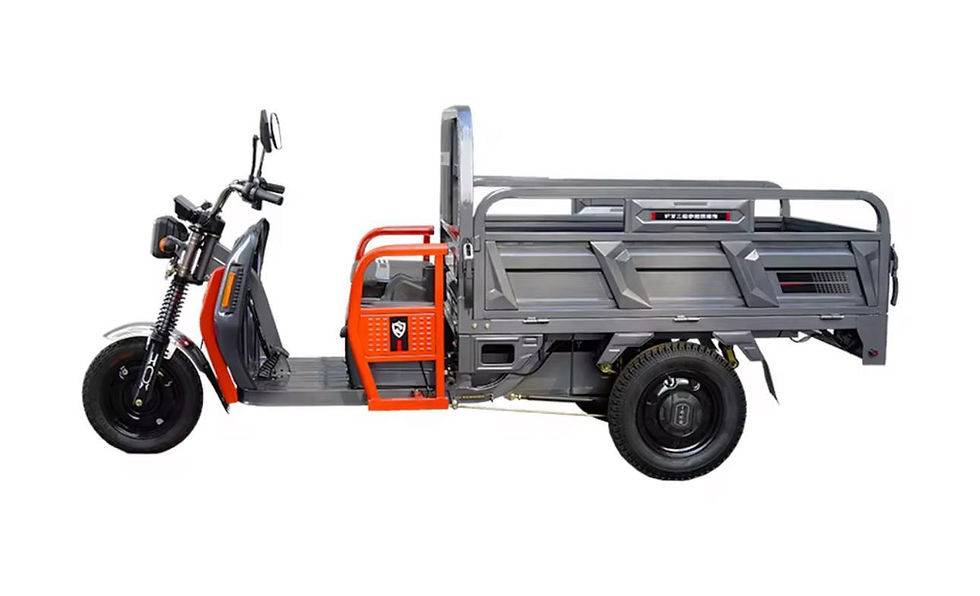 Miniatura: e-carro MASTER