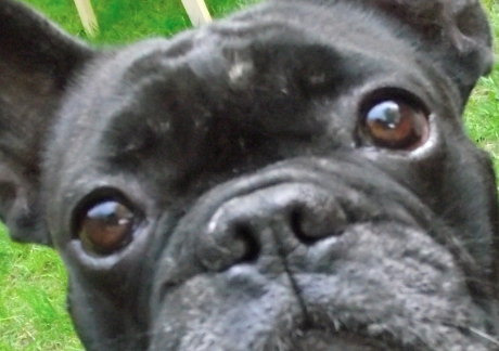 Bobby.png