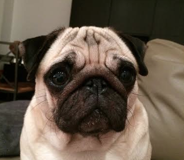 nahla.png
