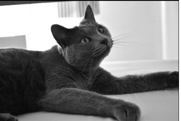 Berlioz.png