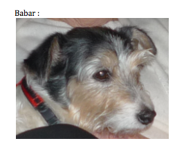 Babar.png