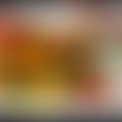 TOFU S PRAŽENÝMI KEŠU OŘECHY V SÓJOVÉM ZÁVOJI