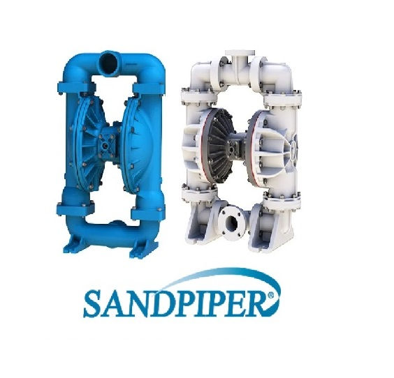SANDPIPER