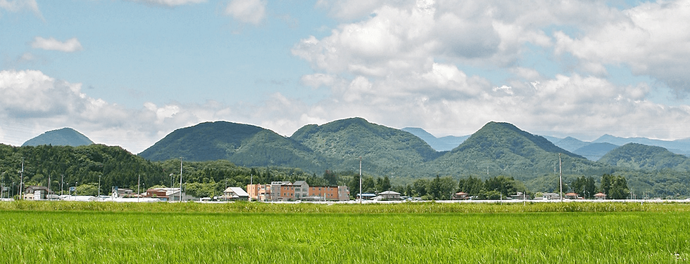 大和町