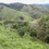 Miniature : Colombie Cauca